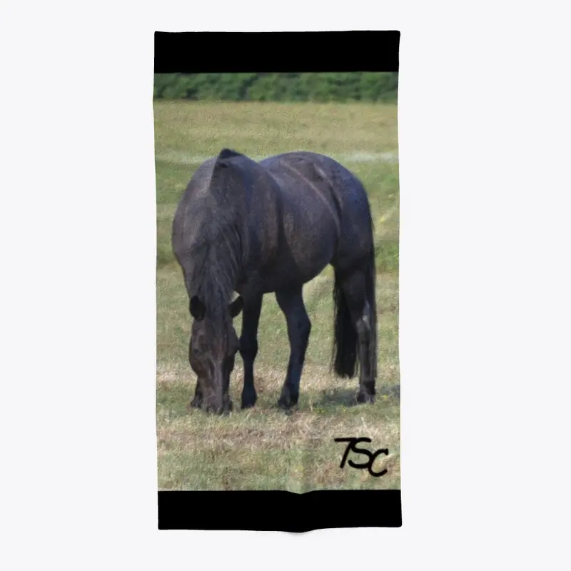 Beach Towel Blue Roan  